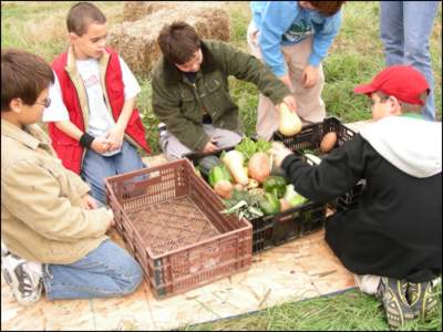 Here are some of the varied vegetables Chuck grows at Cranberry Hall.