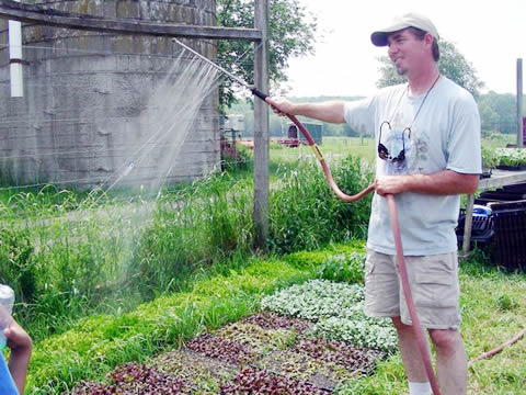 We stopped to water the flats of seedlings that were parched on this 97 degree day. We stopped to water the flats of seedlings that were parched on this 97 degree day.