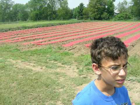Julian Librizzi at Starbrite farm on farm visit day. Julian Librizzi at Starbrite farm on farm visit day.